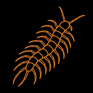 Centipedes