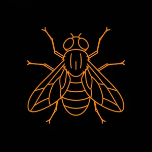 Flies