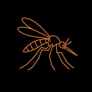 Mosquitoes