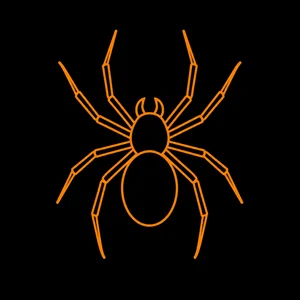 Spiders