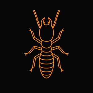 Termites